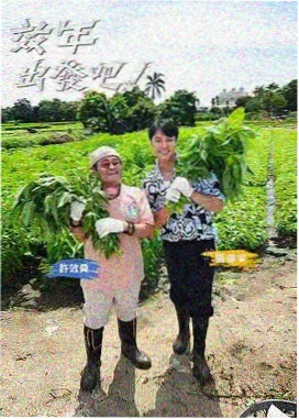 神马影院免费看电视剧 极限挑战9