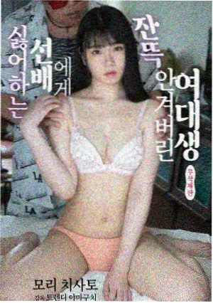 神马影院热播剧推荐 迷雾追踪